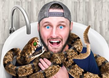 Don't Play Random Online Games…