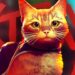 THE CUTEST CAT GAME (Stray)