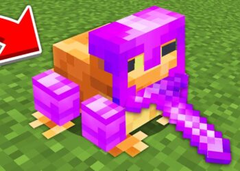 Minecraft, But Frogs Beat the game for you…