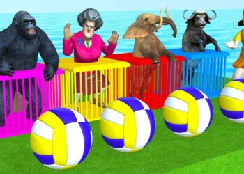 Mammoth Elephant, Gorilla, Buffalo, T rex with Scary Teacher 3D Squid Game Doll and Volleyball Game