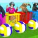 Mammoth Elephant, Gorilla, Buffalo, T rex with Scary Teacher 3D Squid Game Doll and Volleyball Game Mammoth Elephant, Gorilla, Buffalo, T rex with Scary Teacher 3D Squid Game Doll and Volleyball Game