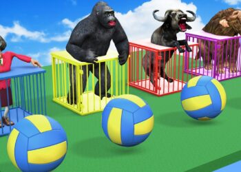 Volleyball Game With Gorilla Mammoth Elephant Cow Buffalo Wild Animal Games Videos