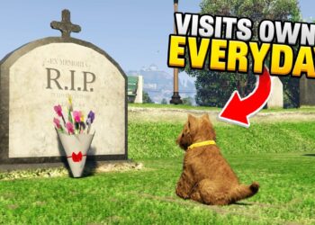 50 Insane Details In Video Games