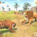 Lion Games Animal Hunting Simulator 3D Fighting Mode