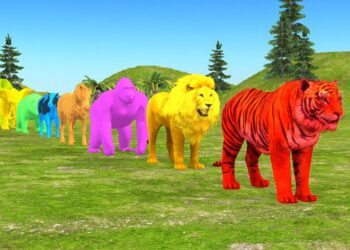 Paint Animals Gorilla Cow Tiger Lion Elephant Fountain Crossing Animal Game