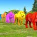 Paint Animals Gorilla Cow Tiger Lion Elephant Fountain Crossing Animal Game