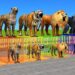 Wild Animal Games Choose The Right Iron Cage Eat Fruits Challenge With Gorilla Tiger Lion Bear Horse
