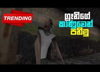 Granny New Update Full Game Play