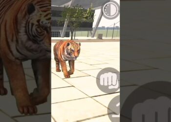 Tiger 🦁 Cheat Code Indian Bike Driving 3d | Indian Bike  | Bike Recreation |  #shorts #shortvideo #quick