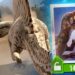 THIS SPINOSAURUS IS IN A JURASSIC GAME?!? – Jurassic World Alive
