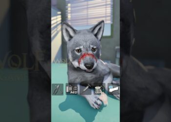 ❓Will the little wolf, 😯curious concerning the entice, eat this piece of meat? #wolfgame