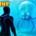 Prime 10 Greatest Offline Video games for Android and iOS 2025 (Particular)