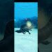 Rebirth SPINOSAURUS underwater journey – Jurassic world the sport #shortvideo
