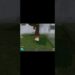Roblox 99 nights within the forest. #roblox #roblox #robloxshorts #99nightintheforest #video games #foryou Roblox 99 nights within the forest. #roblox #roblox #robloxshorts #99nightintheforest #video games #foryou